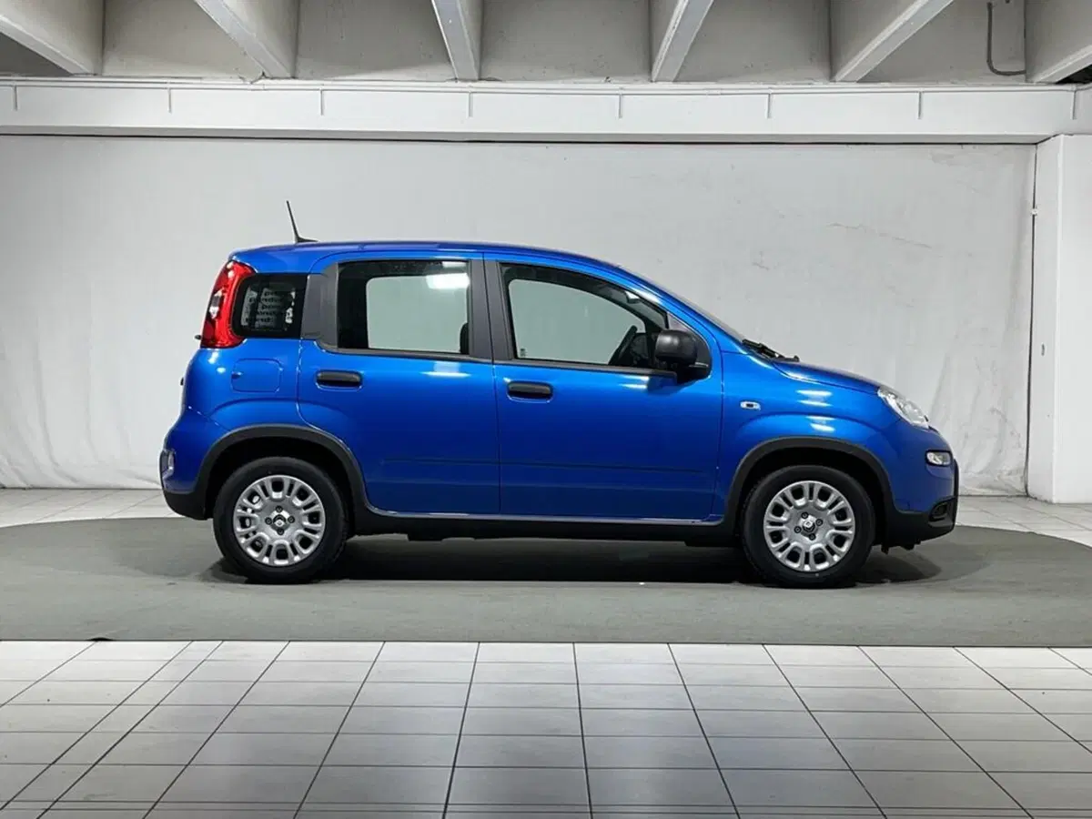 Fiat Panda Cross usata a Sondrio (6)
