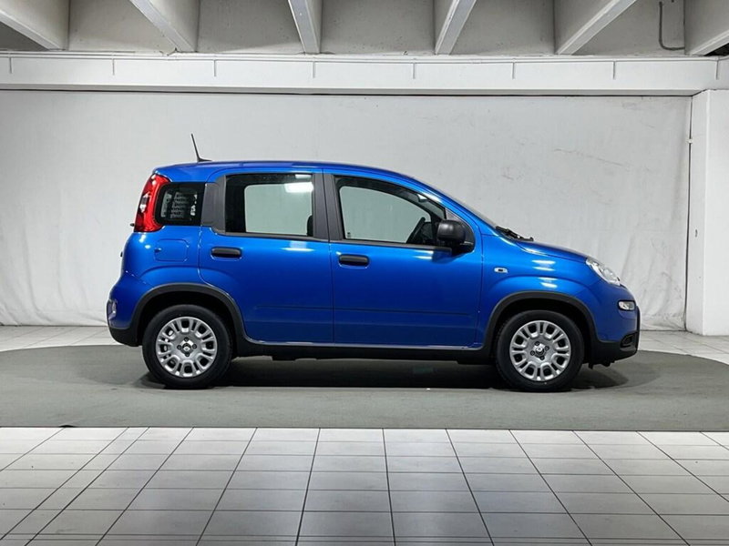 Fiat Panda Cross usata a Sondrio (6)