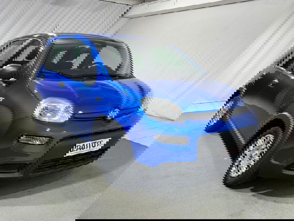 Fiat Panda Cross nuova a Sondrio (7)