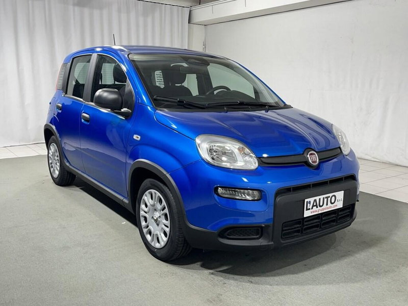 Fiat Panda Cross usata a Sondrio (7)