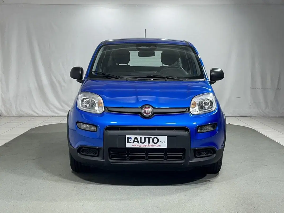 Fiat Panda Cross usata a Sondrio (8)