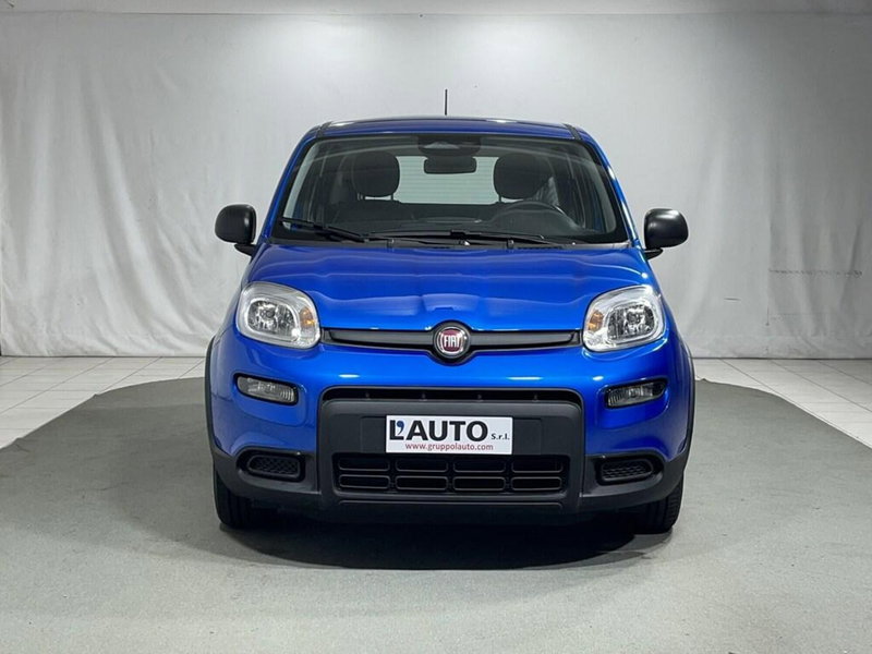 Fiat Panda Cross usata a Sondrio (8)