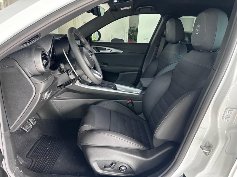 Alfa Romeo Tonale usata a Sondrio (10)