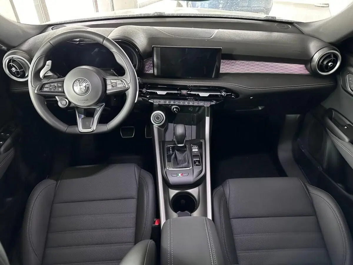 Alfa Romeo Tonale usata a Sondrio (12)