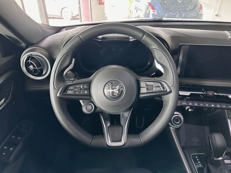 Alfa Romeo Tonale usata a Sondrio (14)