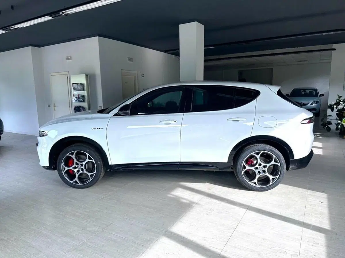 Alfa Romeo Tonale usata a Sondrio (2)