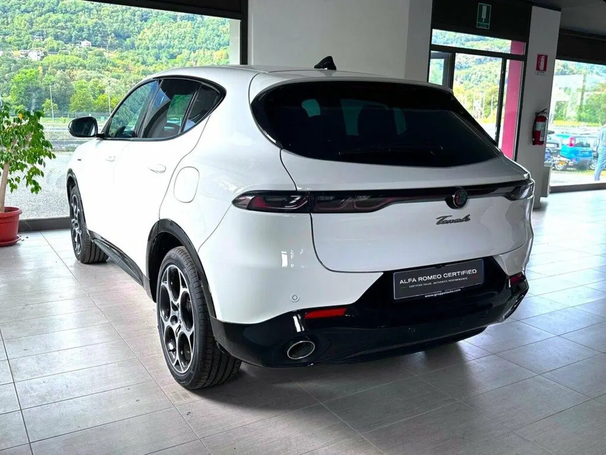 Alfa Romeo Tonale usata a Sondrio (3)