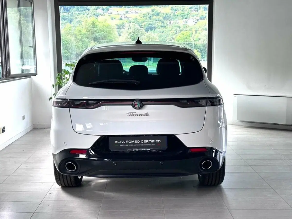 Alfa Romeo Tonale usata a Sondrio (4)