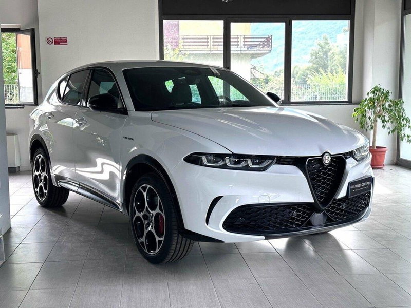 Alfa Romeo Tonale usata a Sondrio (7)