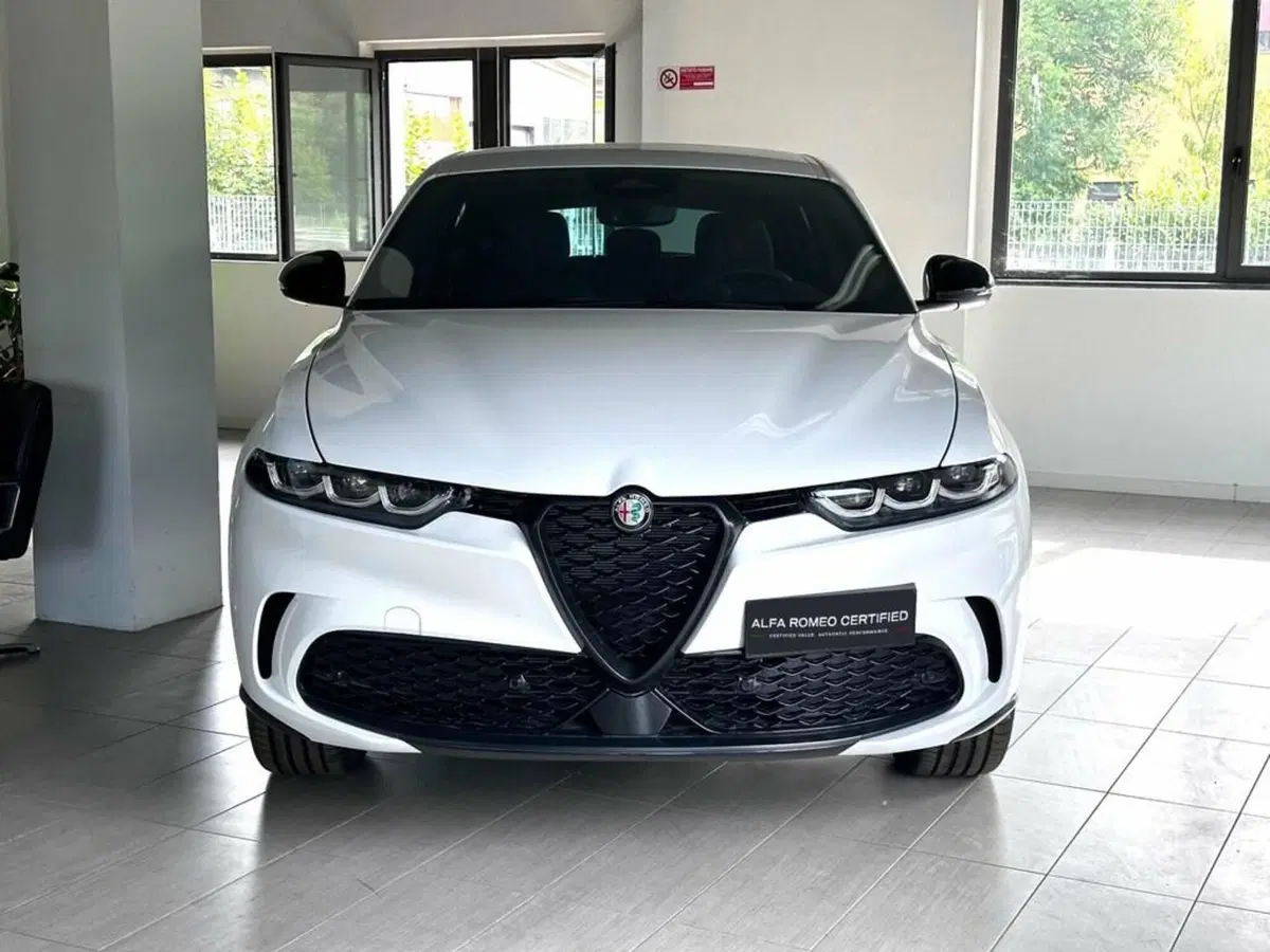 Alfa Romeo Tonale usata a Sondrio (8)