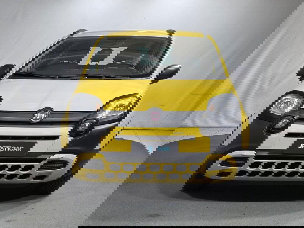 Fiat Panda usata a Sondrio (8)