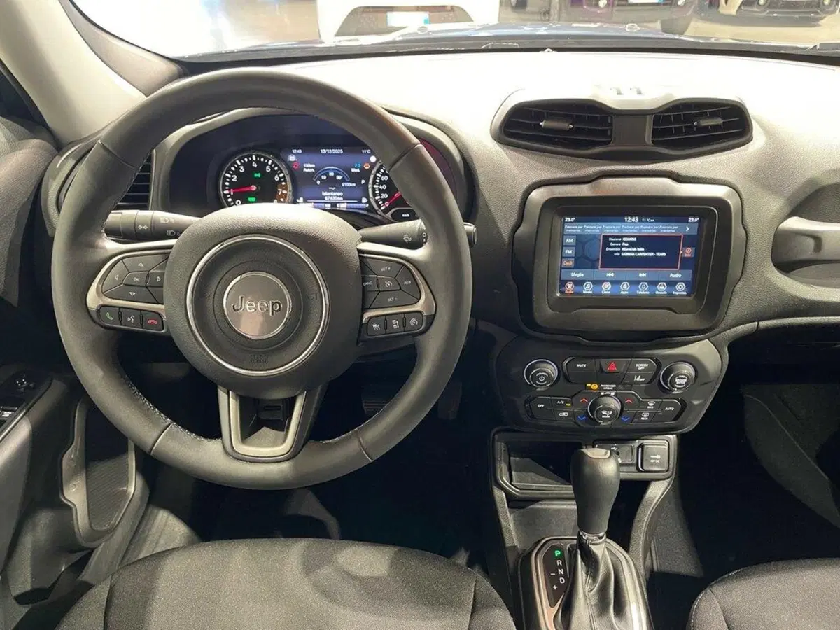 Jeep Renegade usata a Sondrio (13)