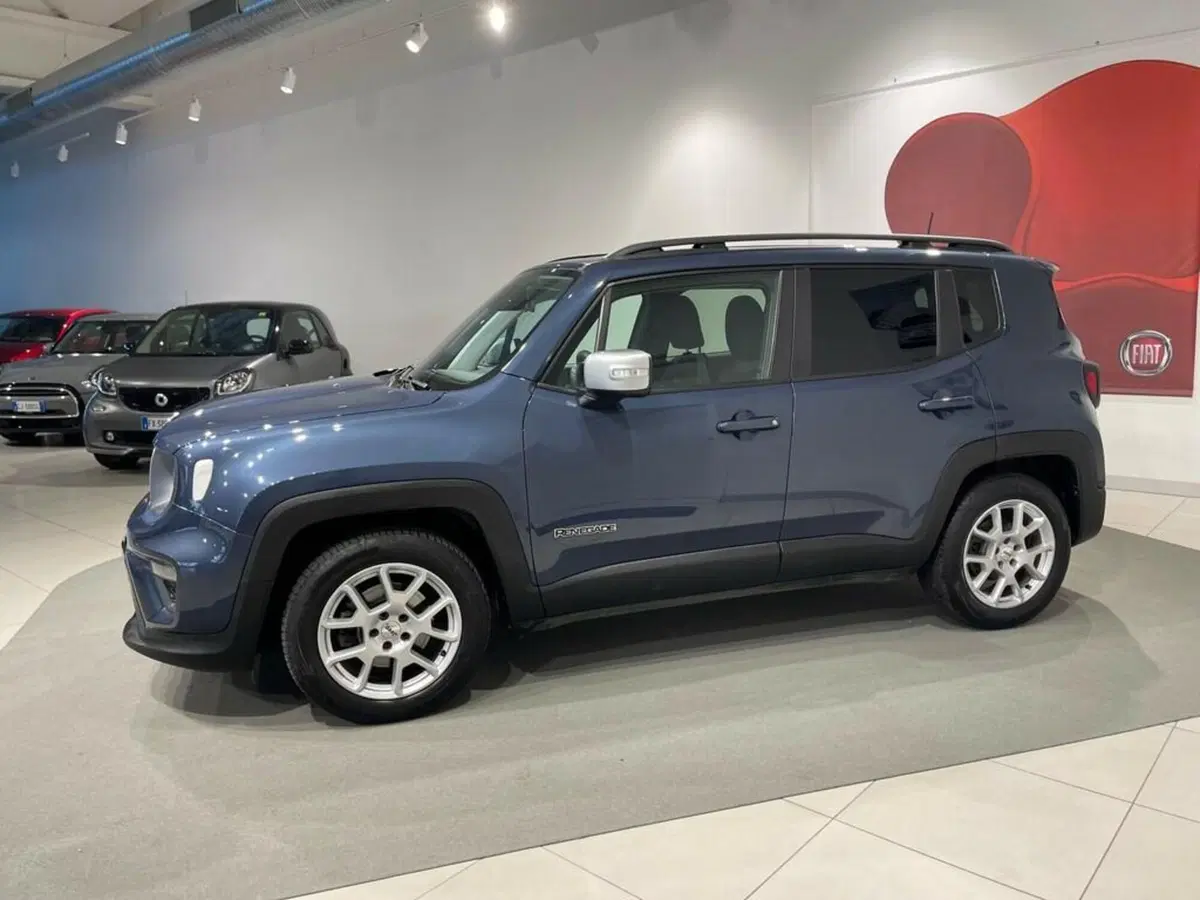 Jeep Renegade usata a Sondrio (2)