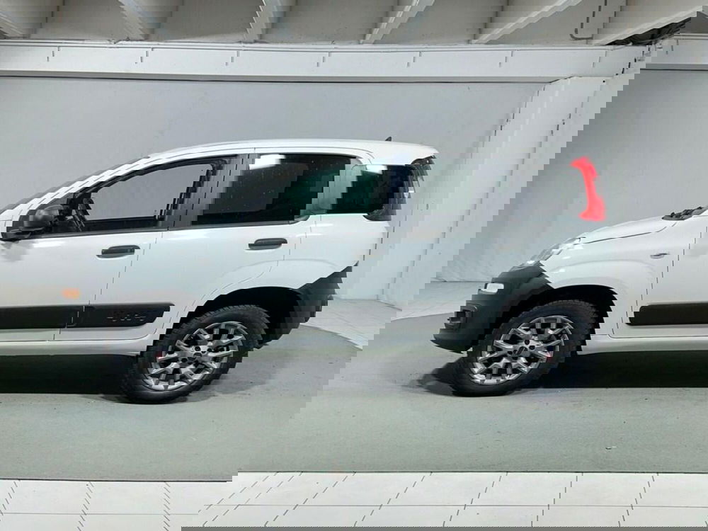 Fiat Panda usata a Sondrio (2)