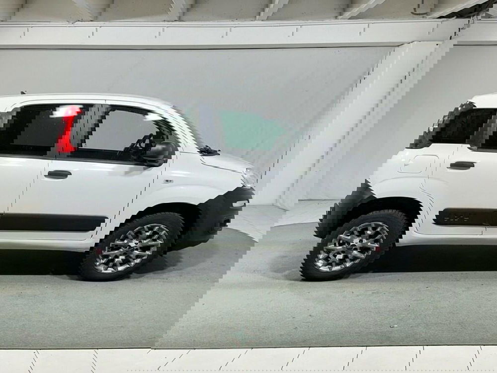 Fiat Panda usata a Sondrio (6)