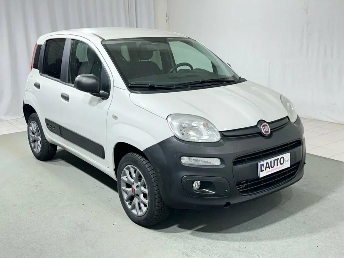 Fiat Panda usata a Sondrio (7)