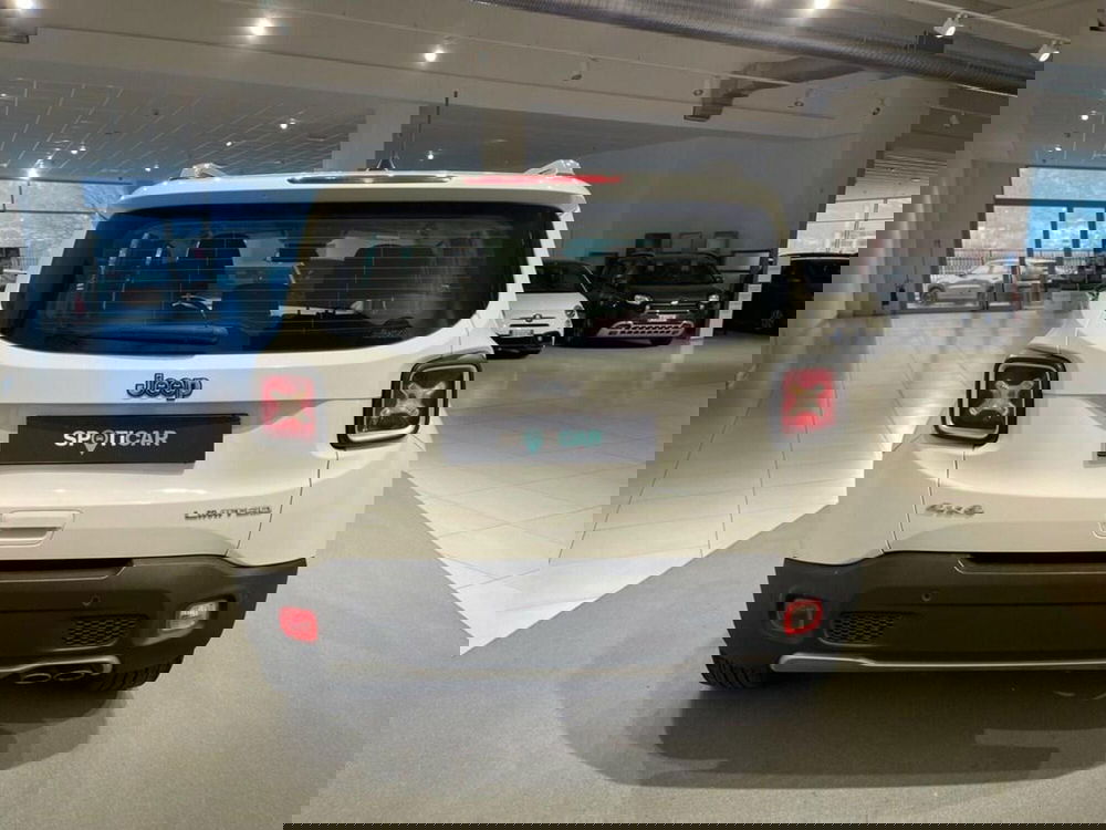 Jeep Renegade usata a Sondrio (4)