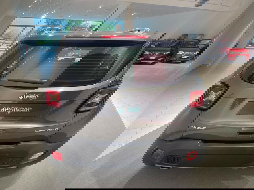 Jeep Renegade usata a Sondrio (3)