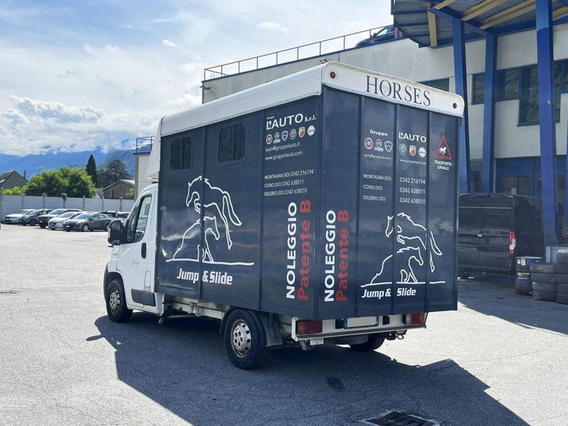 Fiat Ducato usata a Sondrio (3)