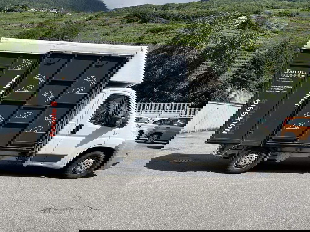 Fiat Ducato usata a Sondrio (6)