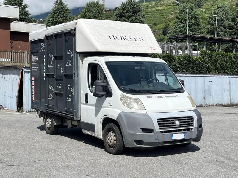 Fiat Ducato usata a Sondrio (7)