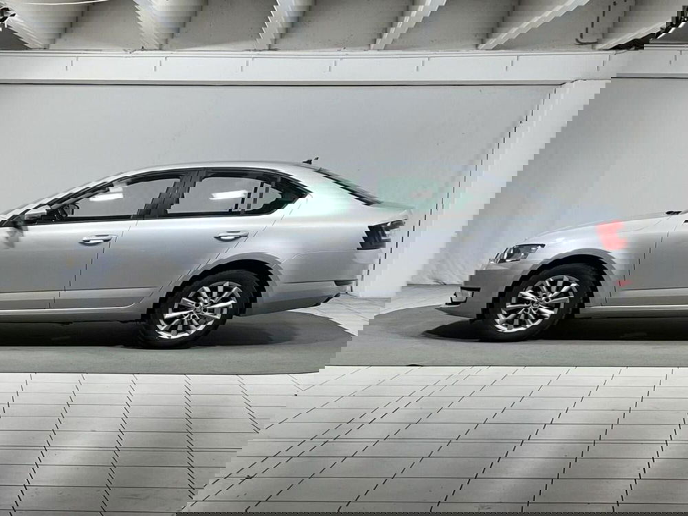 Skoda Octavia usata a Sondrio (2)