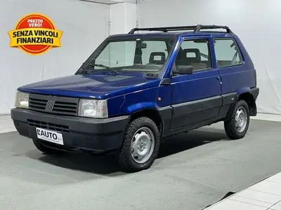 Fiat Panda 1100 i.e. cat 4x4 Trekking del 2001 usata a Montagna in Valtellina