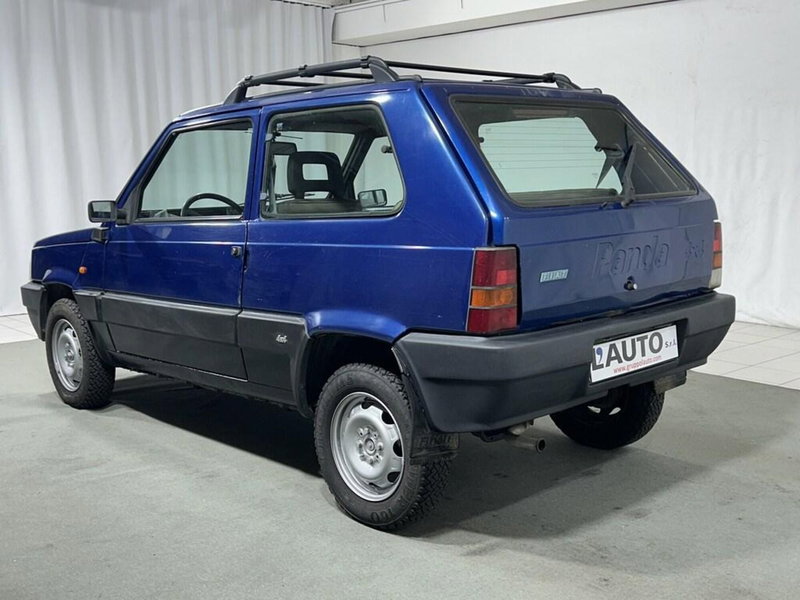 Fiat Panda usata a Sondrio (3)