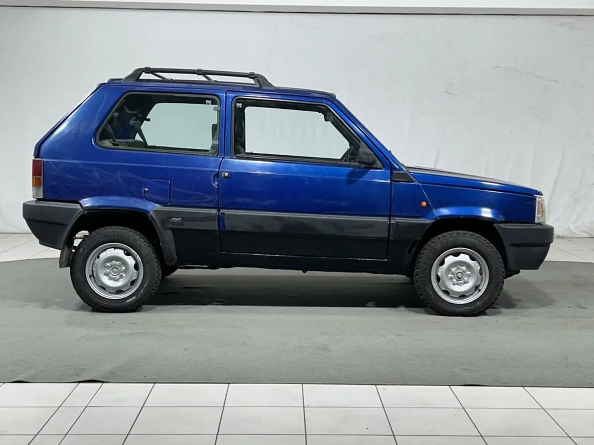 Fiat Panda usata a Sondrio (6)