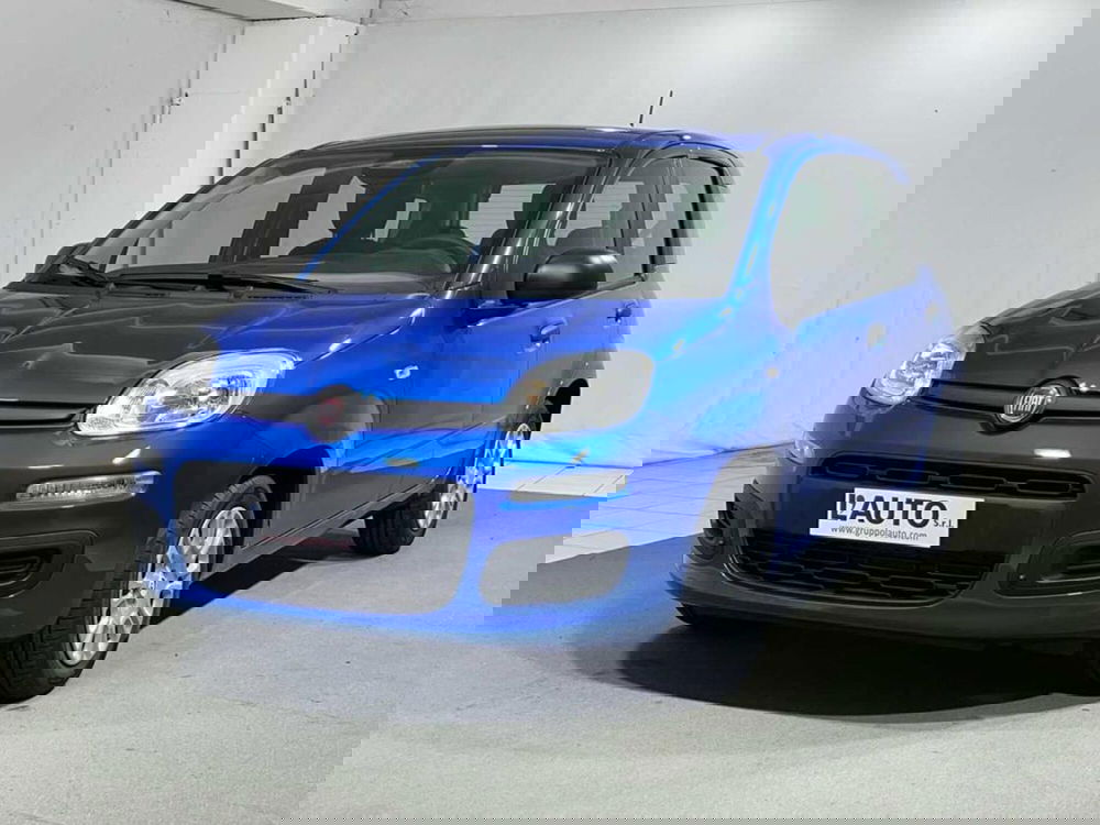 Fiat Pandina nuova a Sondrio