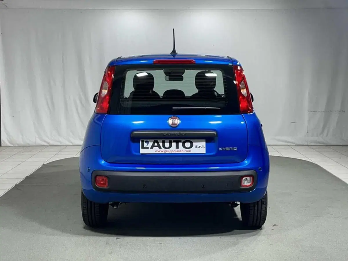 Fiat Pandina nuova a Sondrio (4)