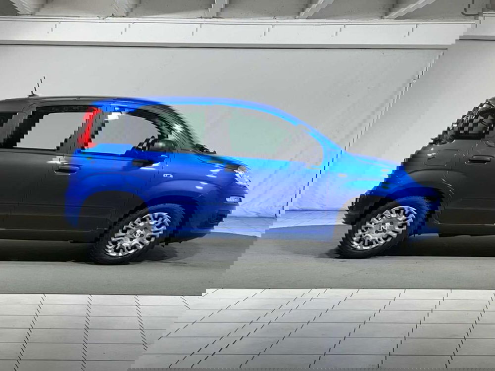 Fiat Pandina nuova a Sondrio (6)