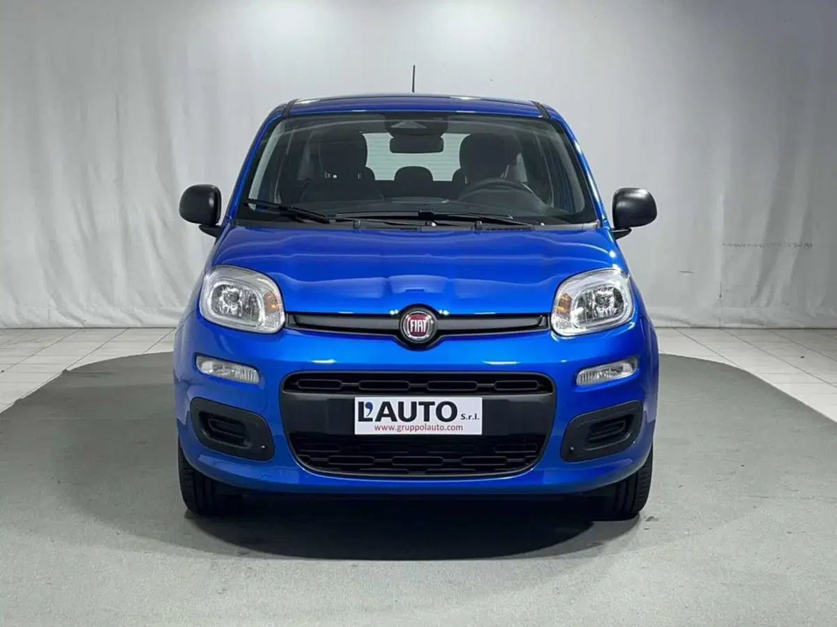 Fiat Pandina nuova a Sondrio (8)