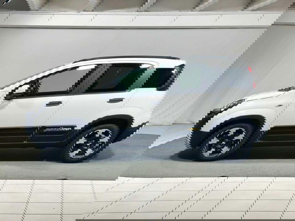 Fiat Pandina nuova a Sondrio (2)