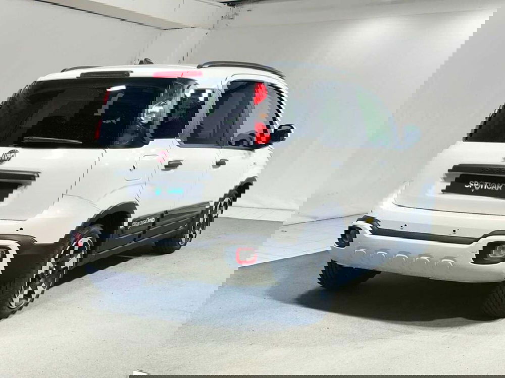 Fiat Pandina nuova a Sondrio (5)