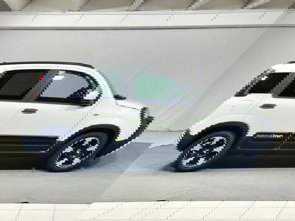 Fiat Pandina nuova a Sondrio (6)