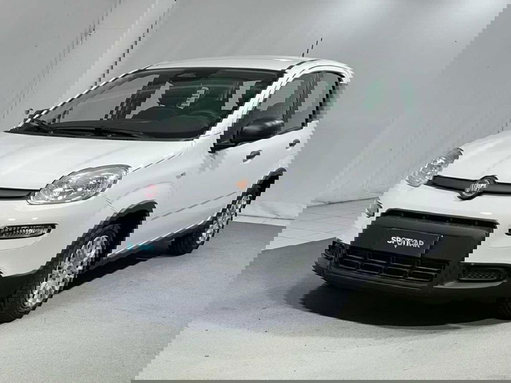 Fiat Pandina nuova a Sondrio