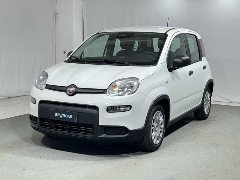 Fiat Pandina nuova a Sondrio