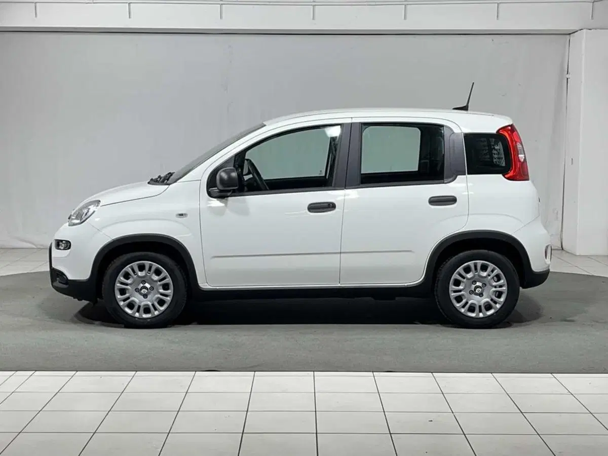 Fiat Pandina usata a Sondrio (2)