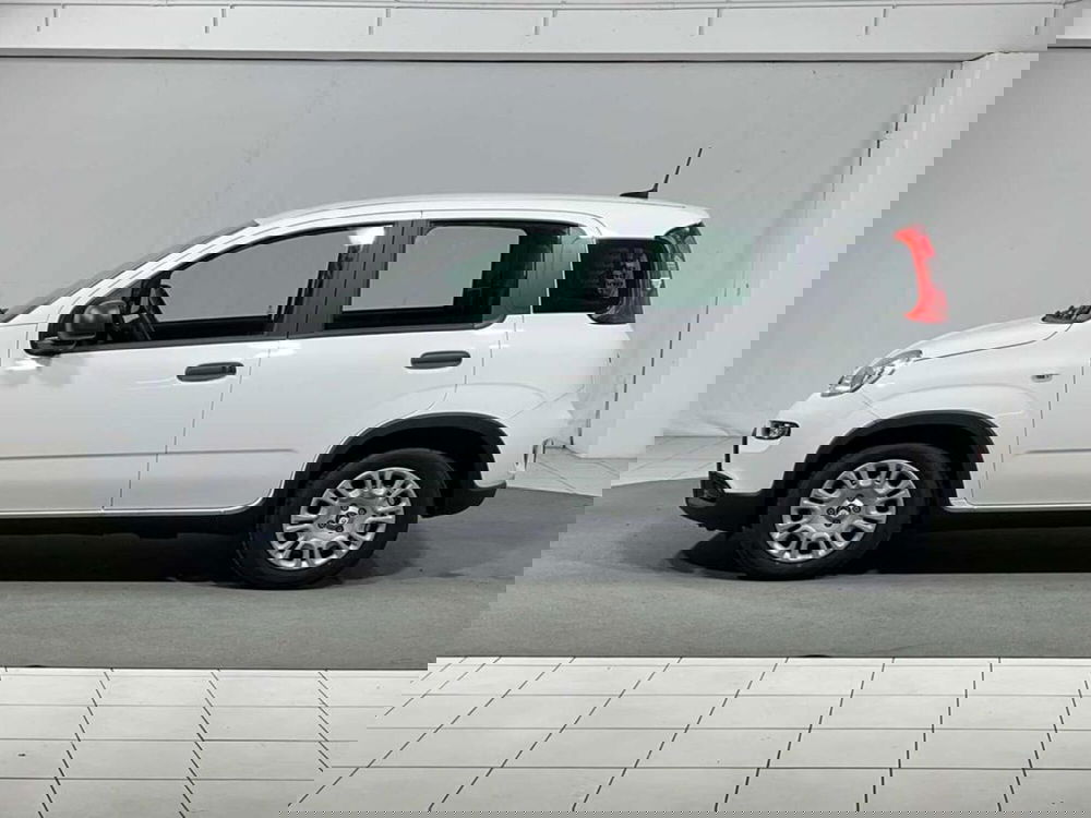 Fiat Pandina nuova a Sondrio (2)