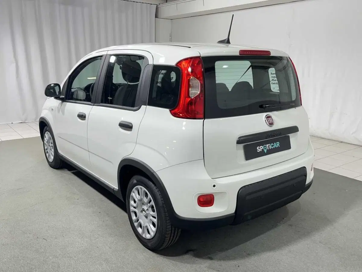 Fiat Pandina usata a Sondrio (3)