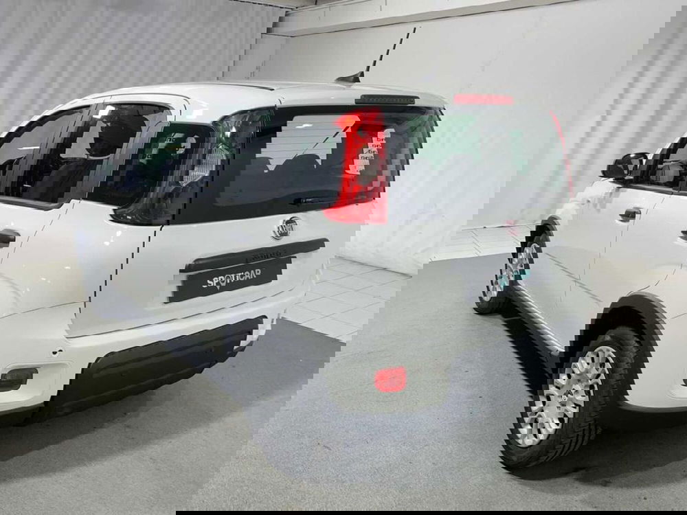 Fiat Pandina nuova a Sondrio (3)