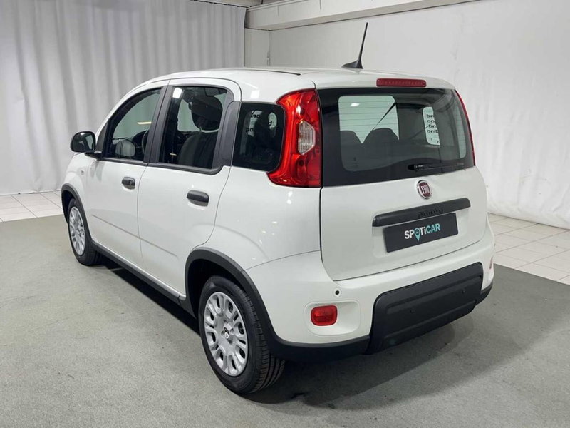 Fiat Pandina nuova a Sondrio (3)