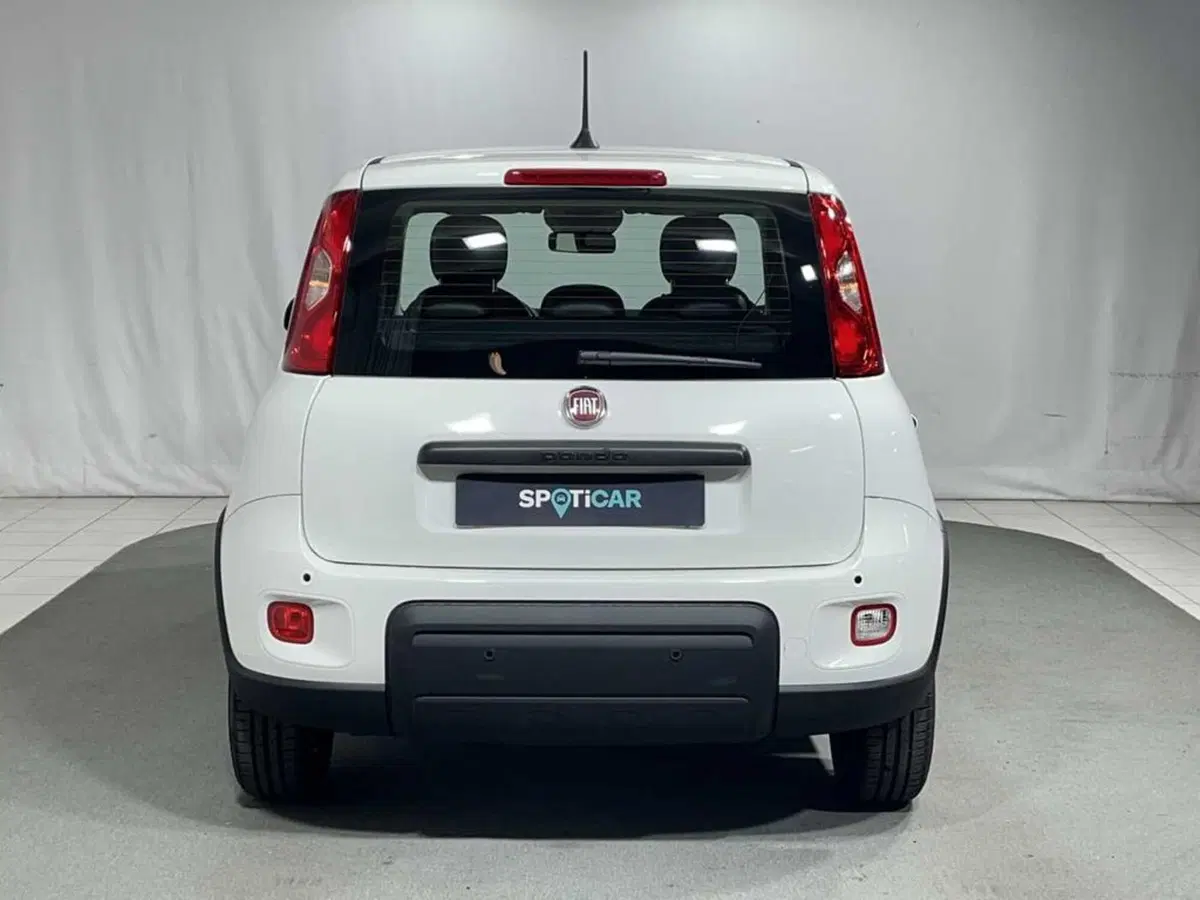 Fiat Pandina usata a Sondrio (4)