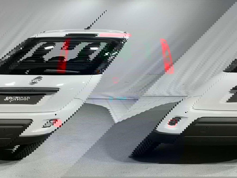 Fiat Pandina nuova a Sondrio (4)