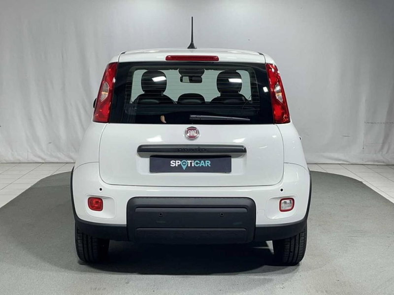 Fiat Pandina nuova a Sondrio (4)