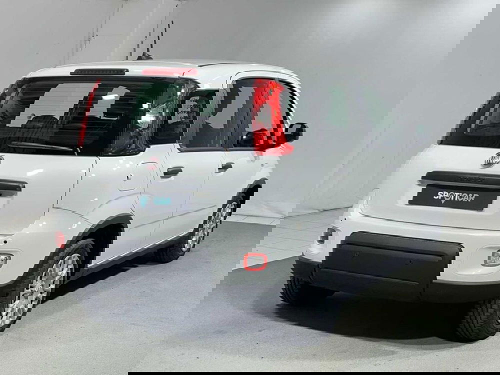 Fiat Pandina nuova a Sondrio (5)