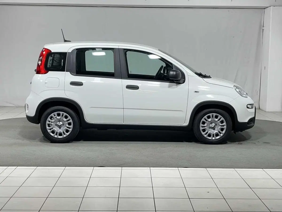 Fiat Pandina usata a Sondrio (6)