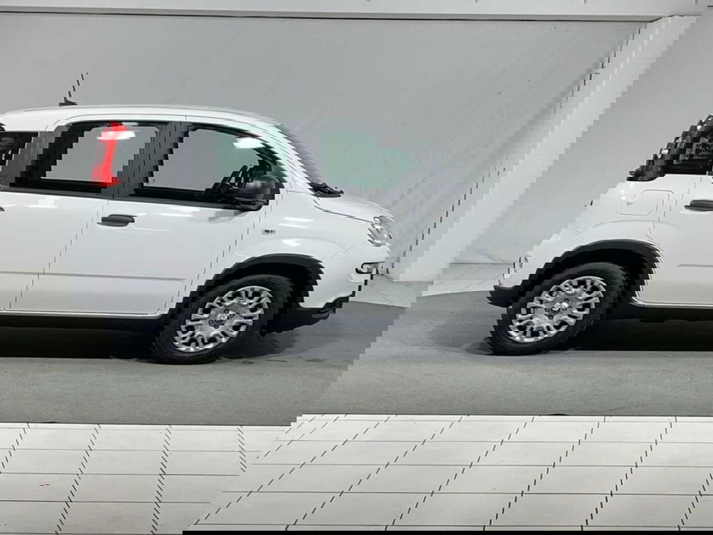 Fiat Pandina nuova a Sondrio (6)