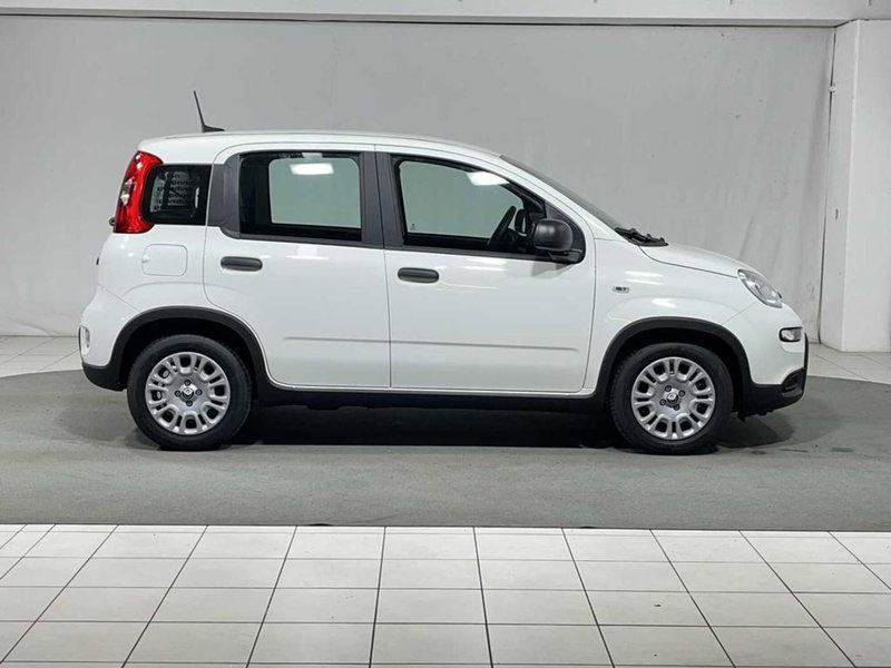 Fiat Pandina nuova a Sondrio (6)